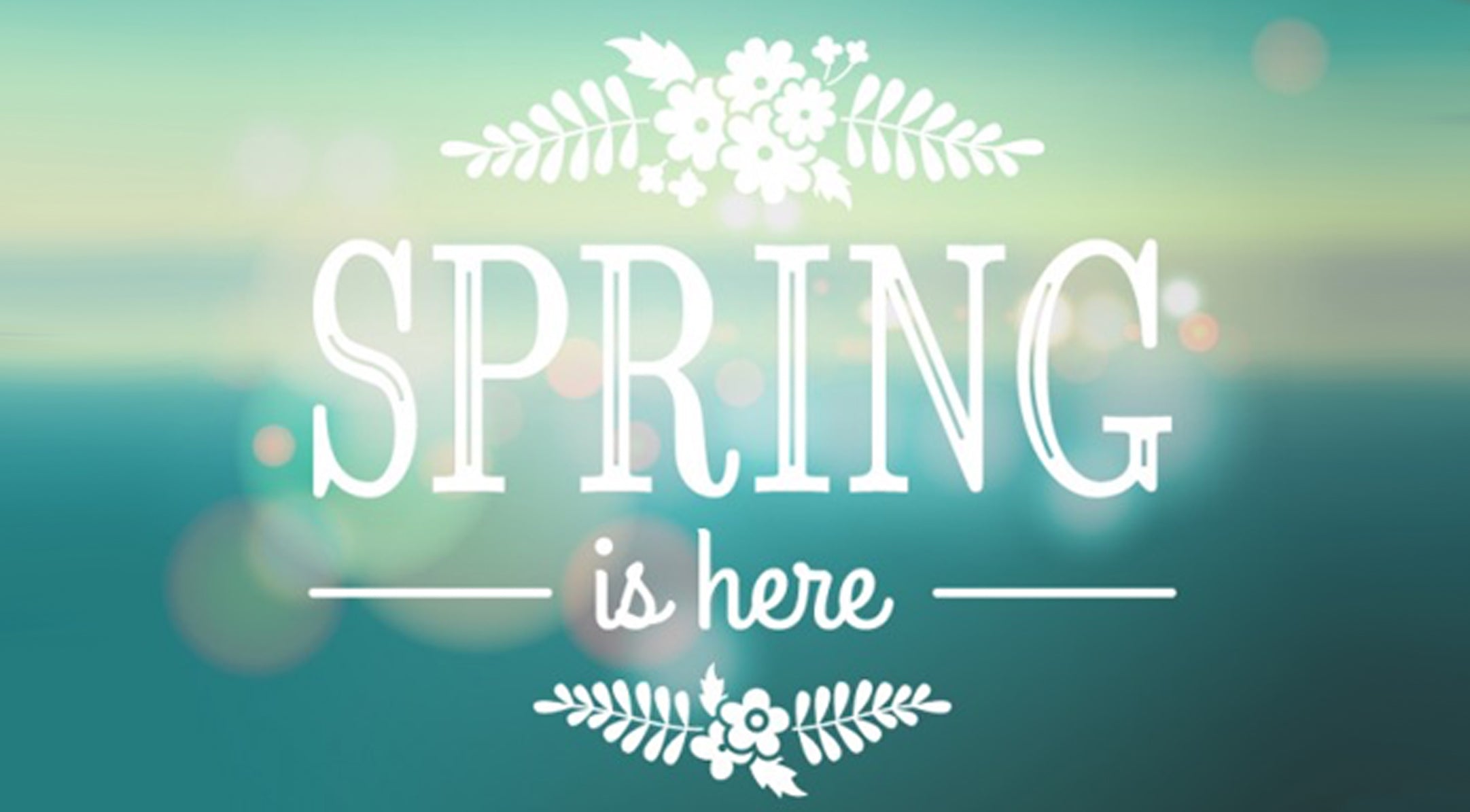 Spring Fashion Frenzy! Bra Pairings for Spring Trends