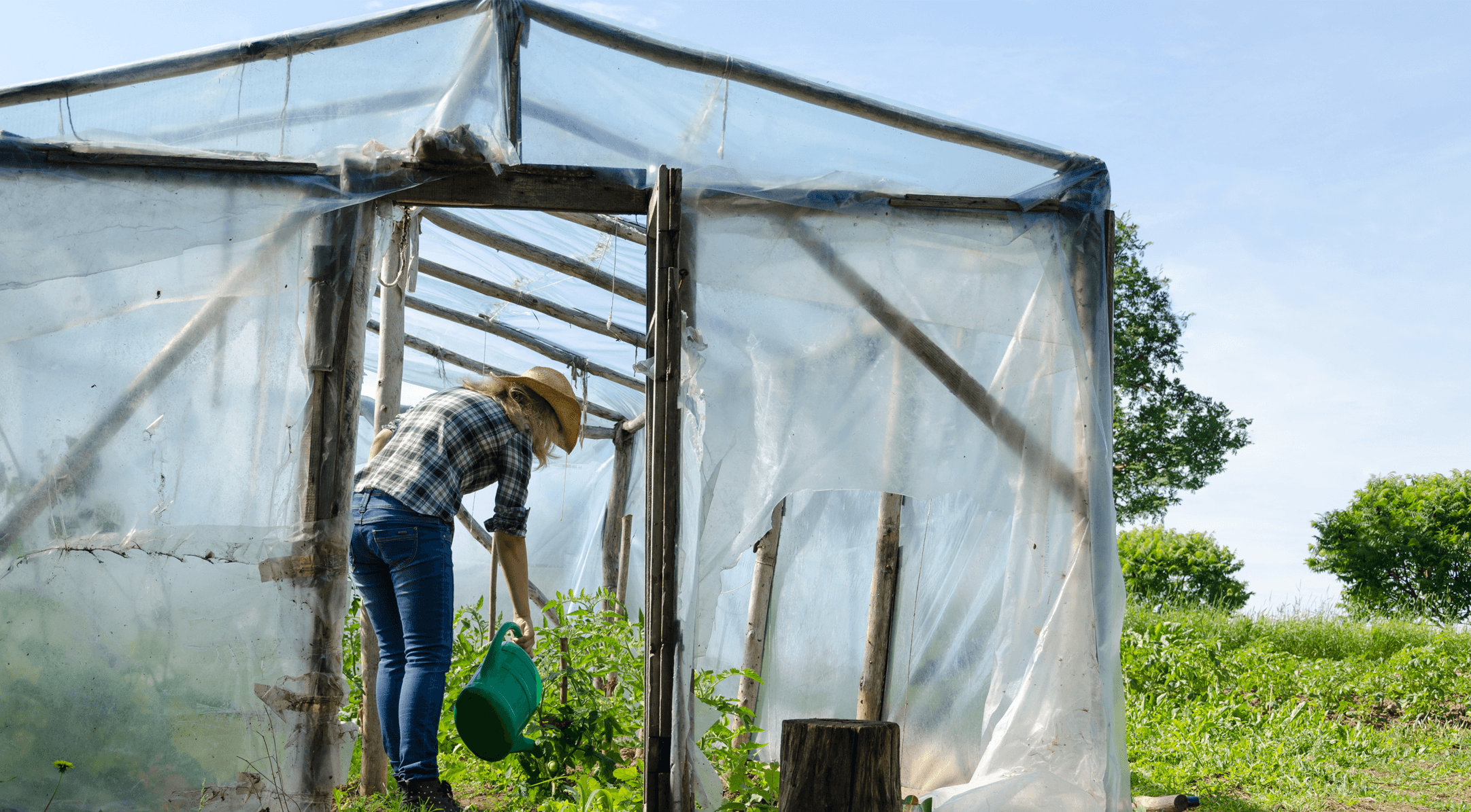 8 Simple Things You Can Do to Support Our Earth