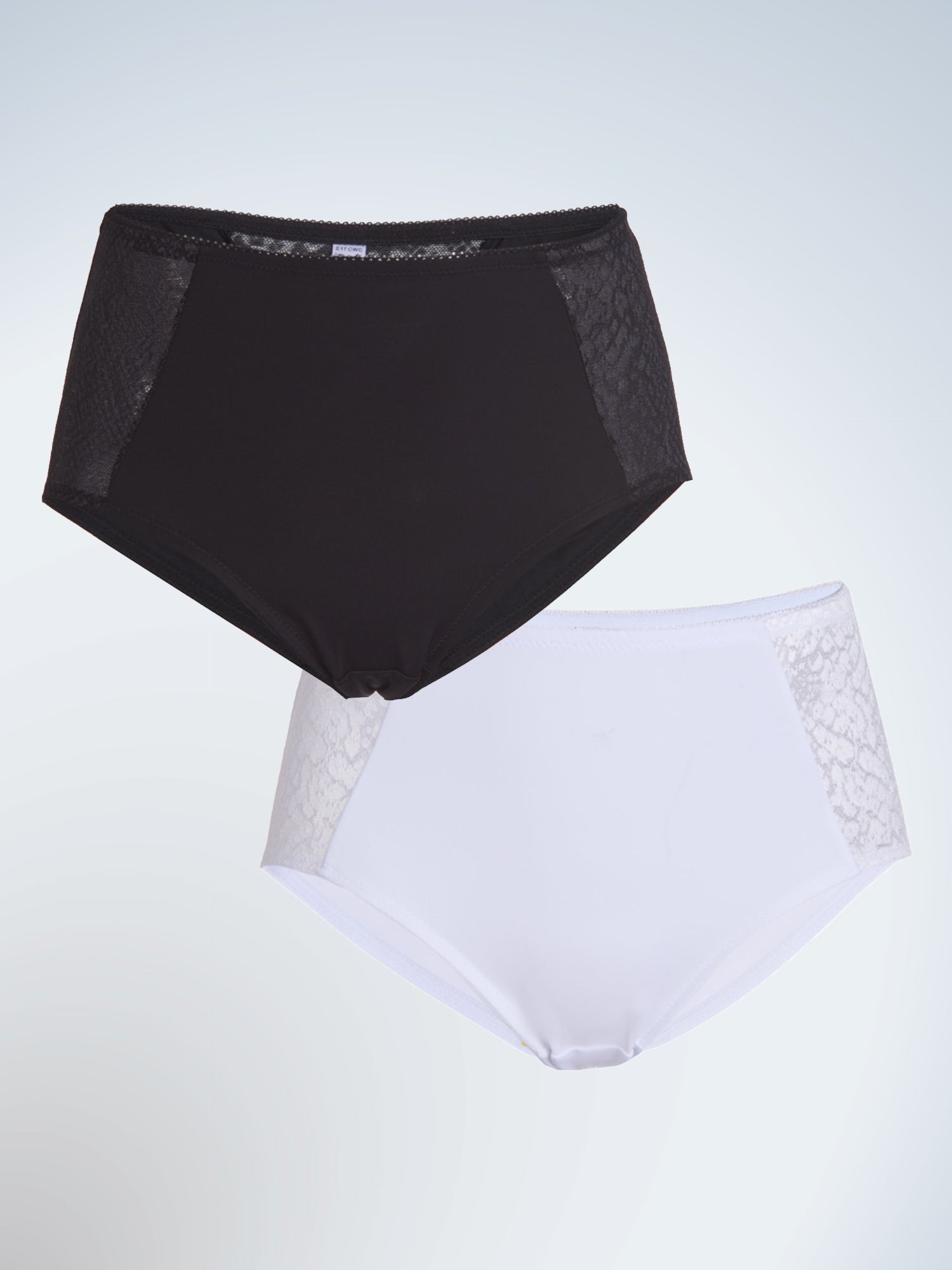 Luxe Body Panty Briefs 2-Pack - Black & White 2PK,5
